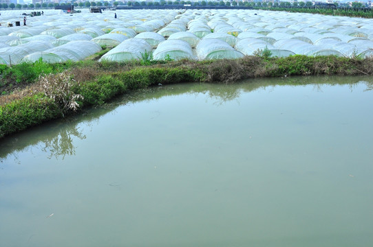 种植基地