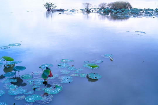 海珠湖