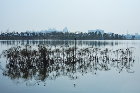 海珠湖