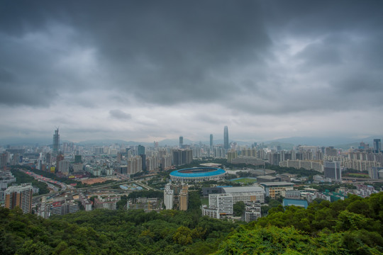 深圳全景