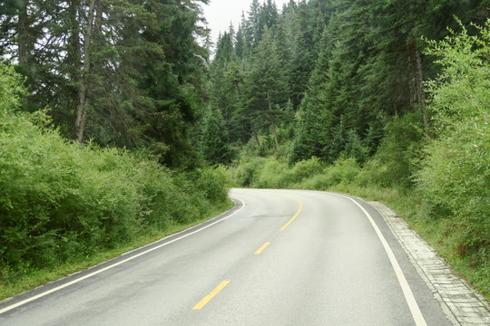 沿途的风景 公路