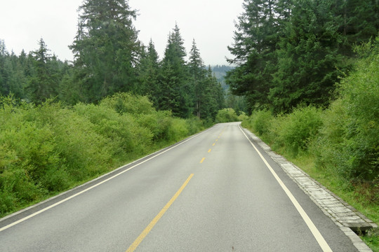 沿途的风景 公路