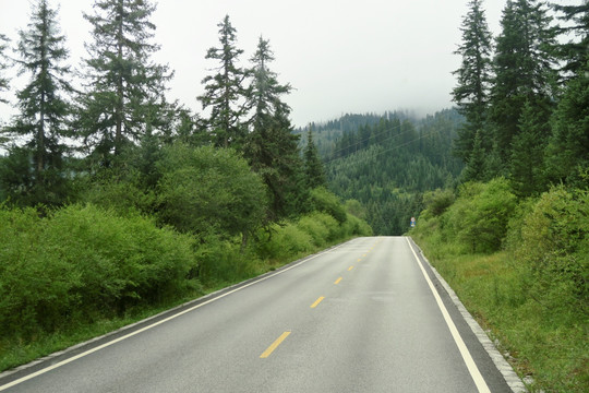 沿途的风景 公路