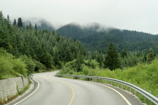 沿途的风景 公路