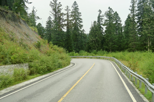 在路上 去旅行 公路