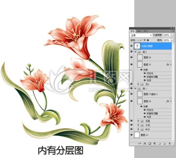 百合花 内有分层图