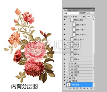 月季花 内有分层图