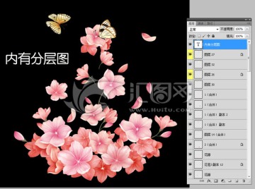 小花 內(nèi)有分層圖