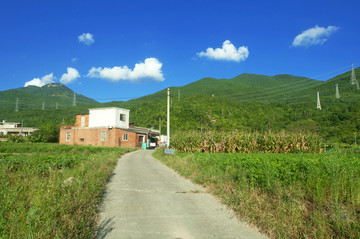 乡村道路