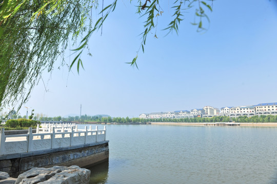 湖畔风景 沿河风光