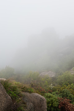 靈山霧
