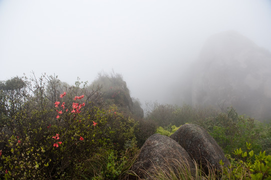 上饶灵山