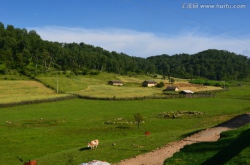 关山草原