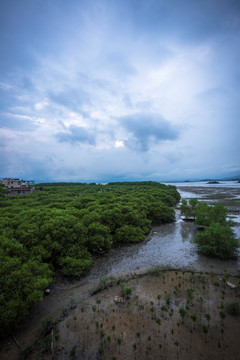 白沙村