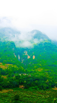 青山 山村风光