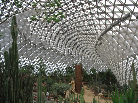 植物园内景