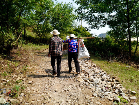 打板栗回家的山里人