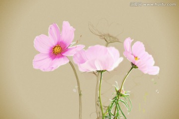 粉紅色小花