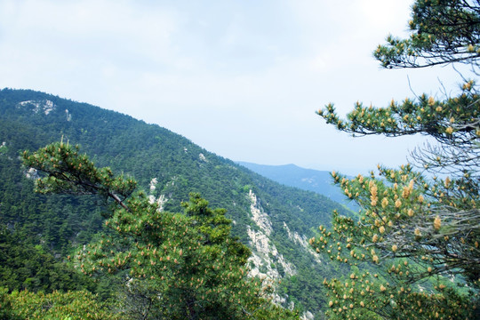 大山风景