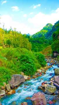 小溪 小河 绿野