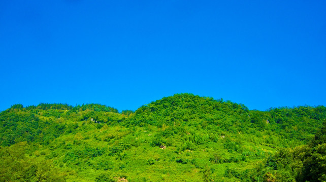 青山 山岭