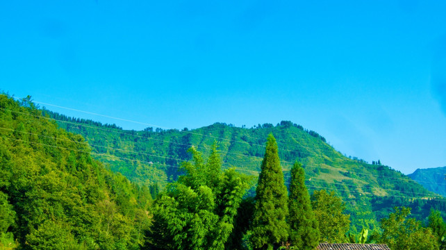 青山 大山 山林