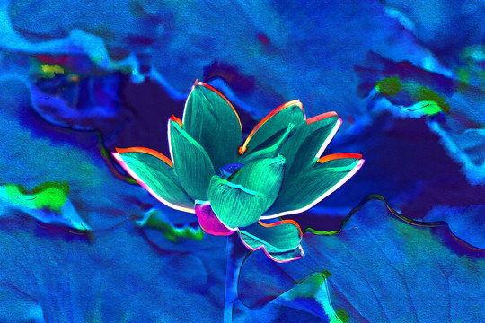 荷花裝飾畫(huà)