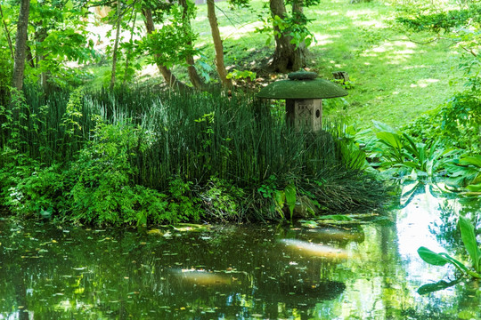 日本小池塘景观
