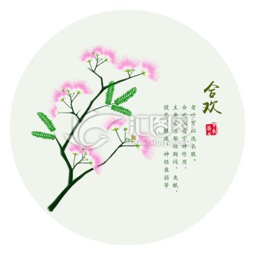 手繪合歡花 合歡樹