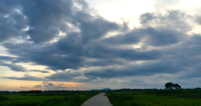 田园小路