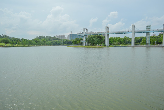 东莞植物园