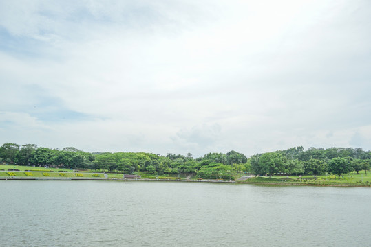 东莞植物园