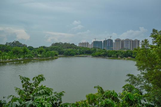 东莞植物园