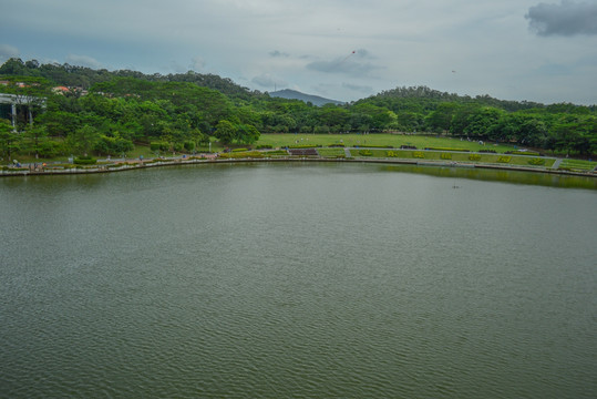 东莞植物园