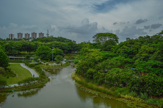 东莞植物园