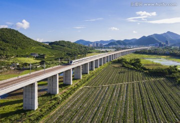 动车飞驰