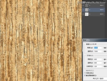 樹皮紋