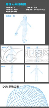 男性人體線框圖