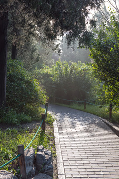 景山公园小路