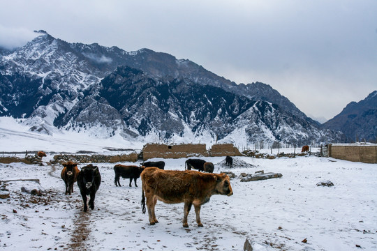 天山山脉积雪