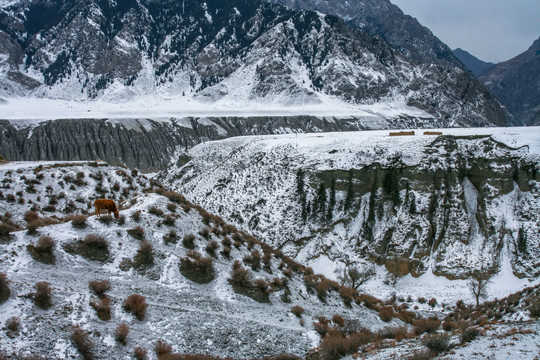 天山山脉积雪