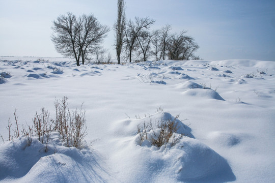 雪地