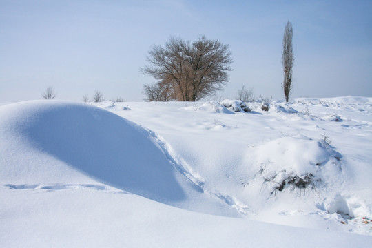 雪地