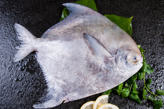 大斗仓鱼 海鲜