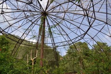 植物博物馆 云南旅游