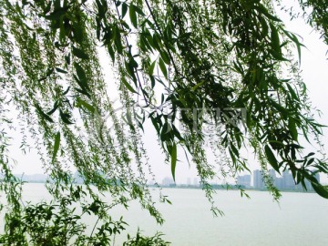 徐州云龙湖风景区