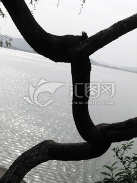 徐州云龙湖春天风景