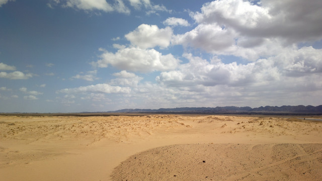 荒漠 沙化