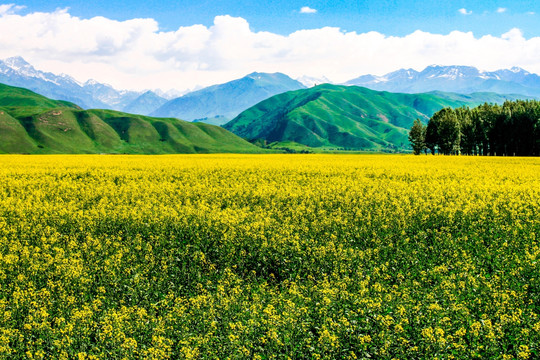 博乐怪石峪风景名胜区