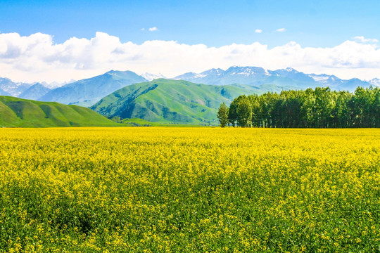 博乐怪石峪风景名胜区